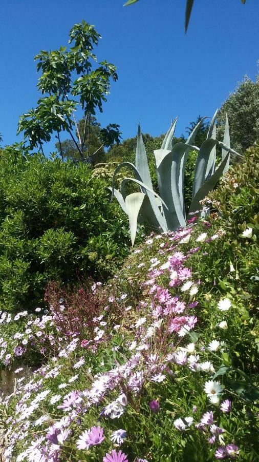 Villa Le Clos Fleuri Narbonne Bagian luar foto