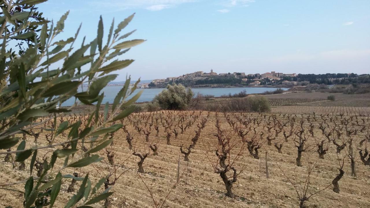 Villa Le Clos Fleuri Narbonne Bagian luar foto